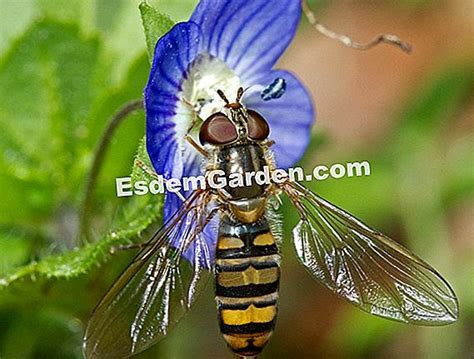 Gli indesiderabili 2025